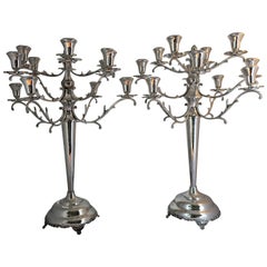 19th Century Mexican Sterling Silver Twelve-Arm Candelabra