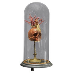 Memento Mori Composition of Two Wooden Skulls, a Stag beetle and a Red Coral Bra