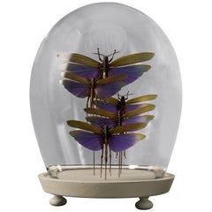 Colorful Insect Composition in Czech Mouth Blown Glass Globe