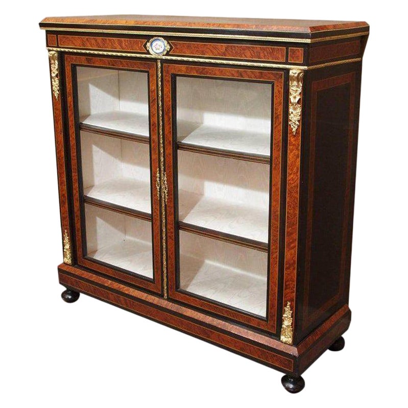 Antique English 19th Century Briarwood and Ebonized Wood Cabinet For Sale