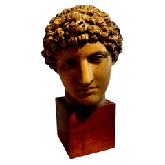 Antique Italian Terracotta Classical Bust on a Wood Base