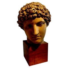 Antique Italian Terracotta Classical Bust on a Wood Base