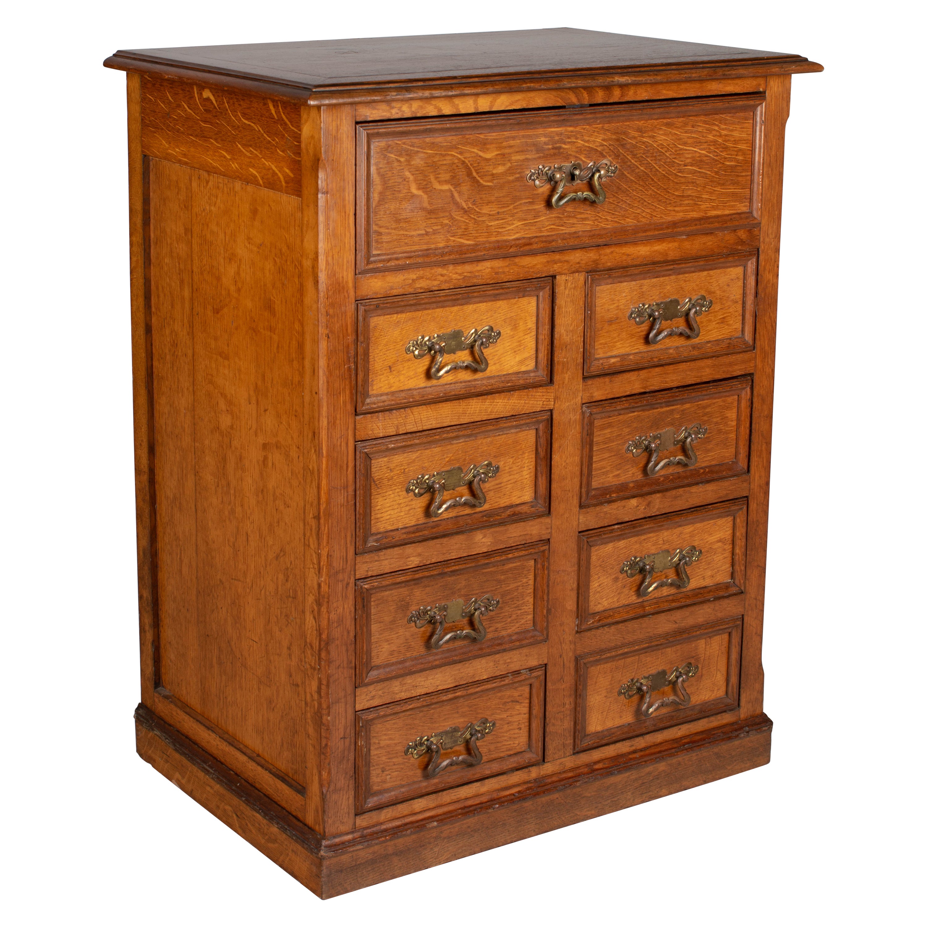 Large Antique Printer's Industrial, Plan Chest, Specimen, Art