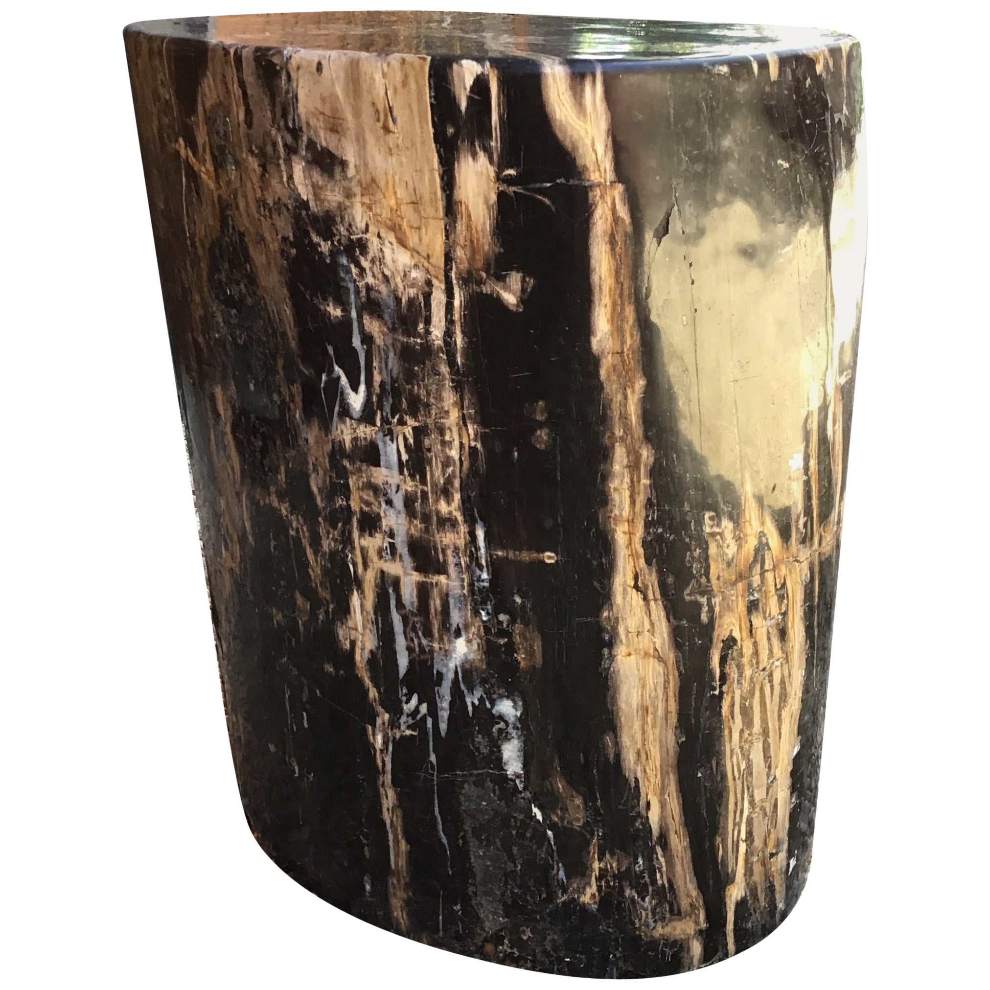 Petrified Wood n°C Side Table For Sale at 1stDibs