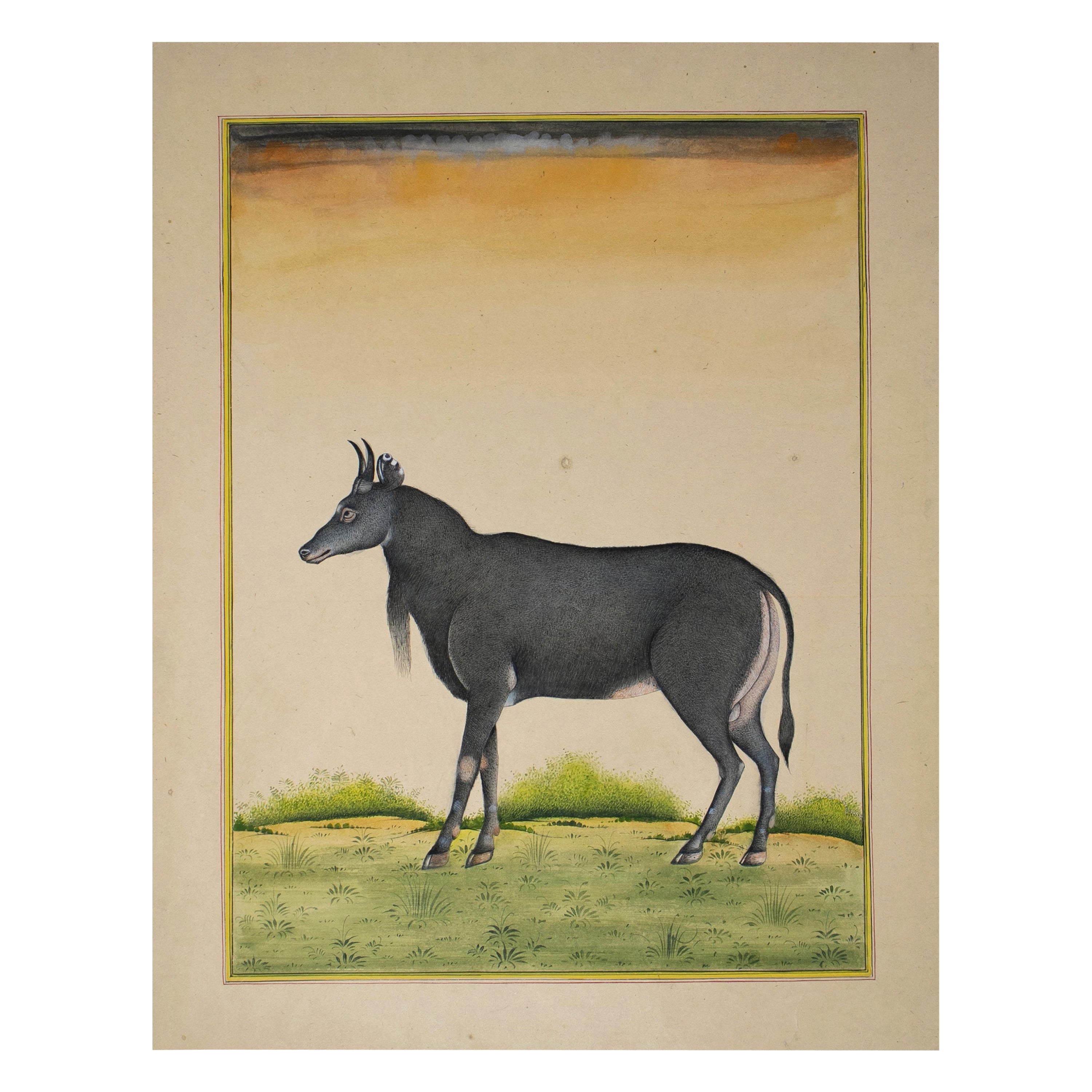 dessin sur papier indien des années 1970 représentant une chèvre