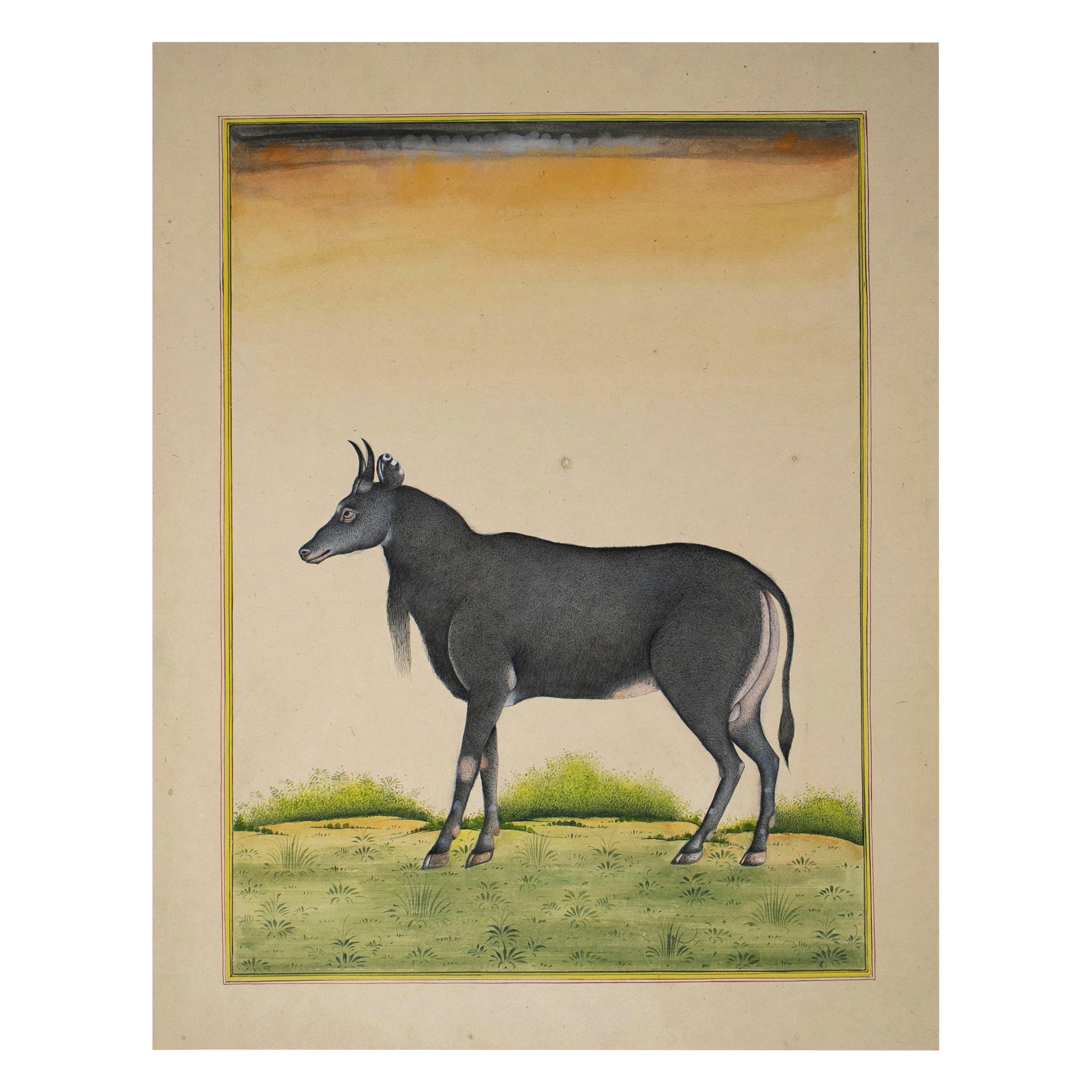 Disegno di capra su carta indiana degli anni '70