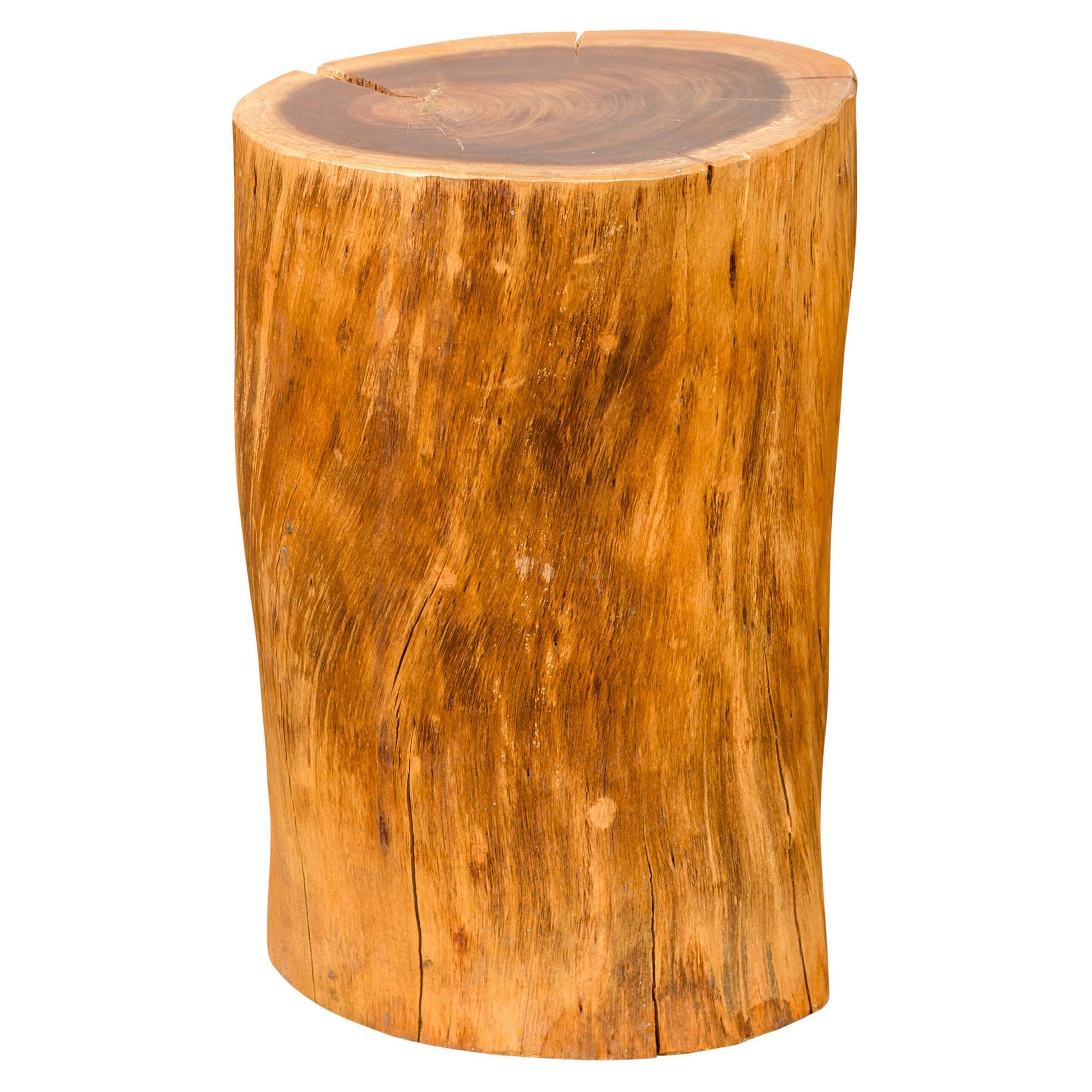 Robust Midcentury Rustic Tree Stump Pedestal, Stool or Drinks Table For Sale