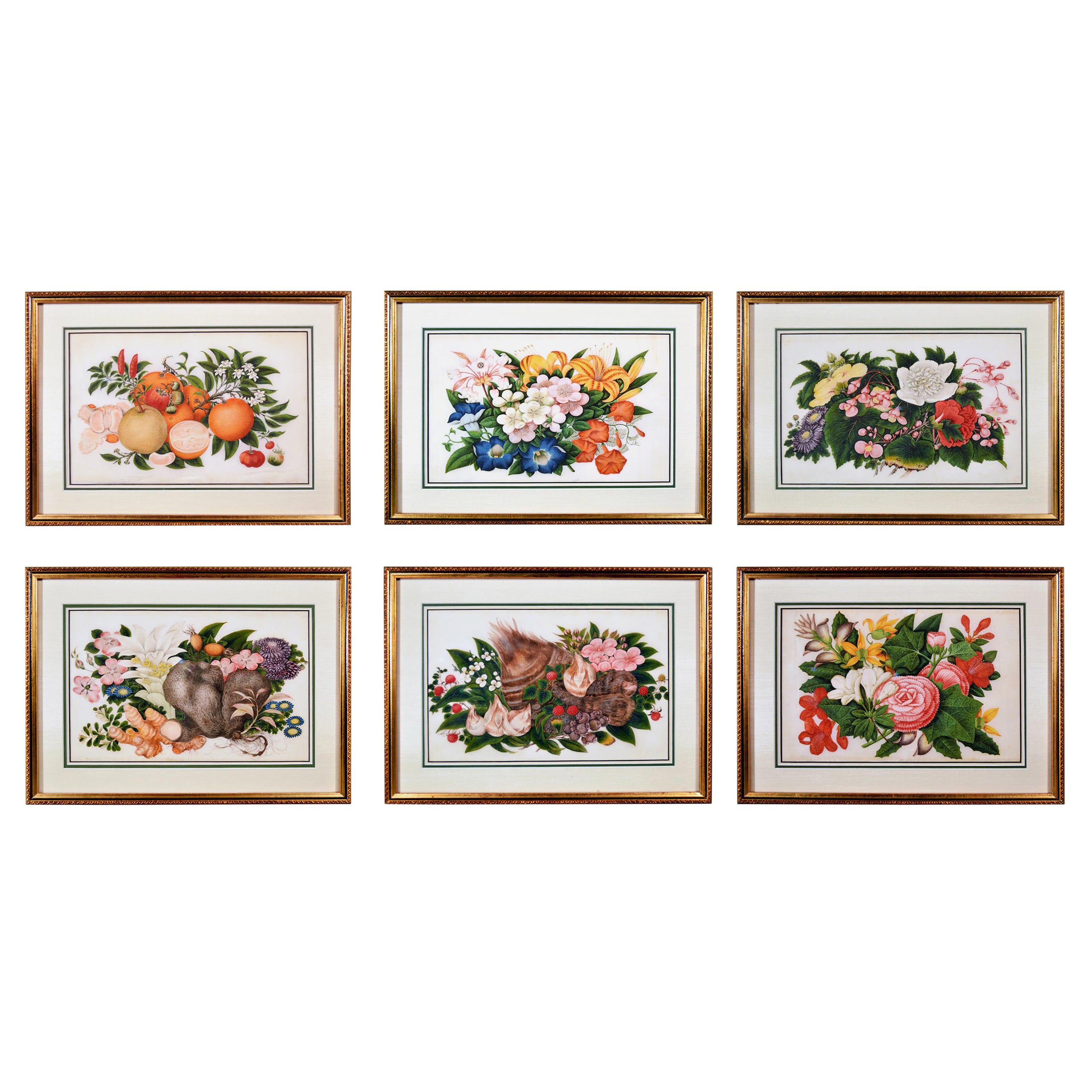 China Trade Set of Six Sunqua Still Life of Fruit & Flowers Paintings For Sale
