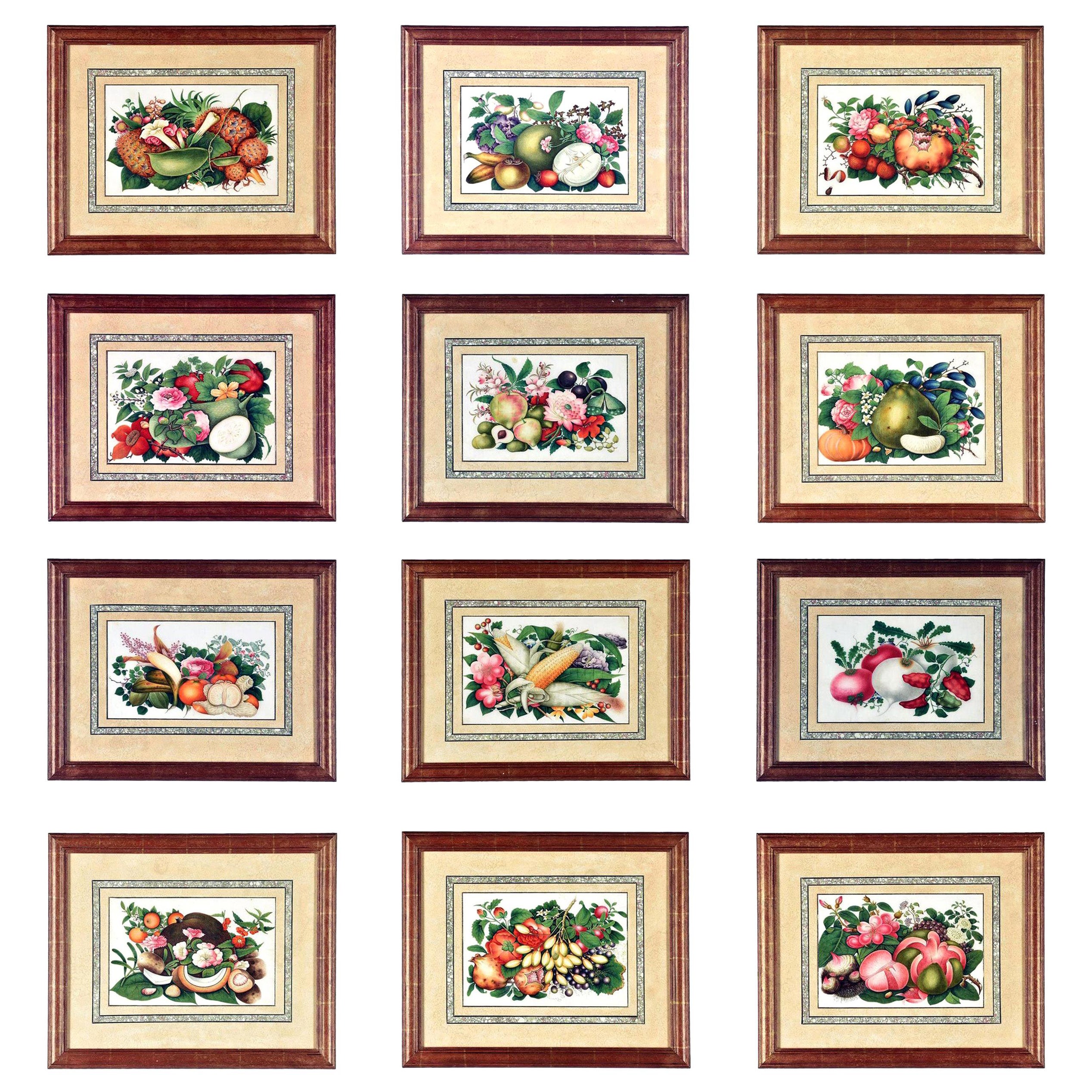 China Trade Watercolor & Gouache Set of Twelve Paintings of Fruit & Flowers For Sale