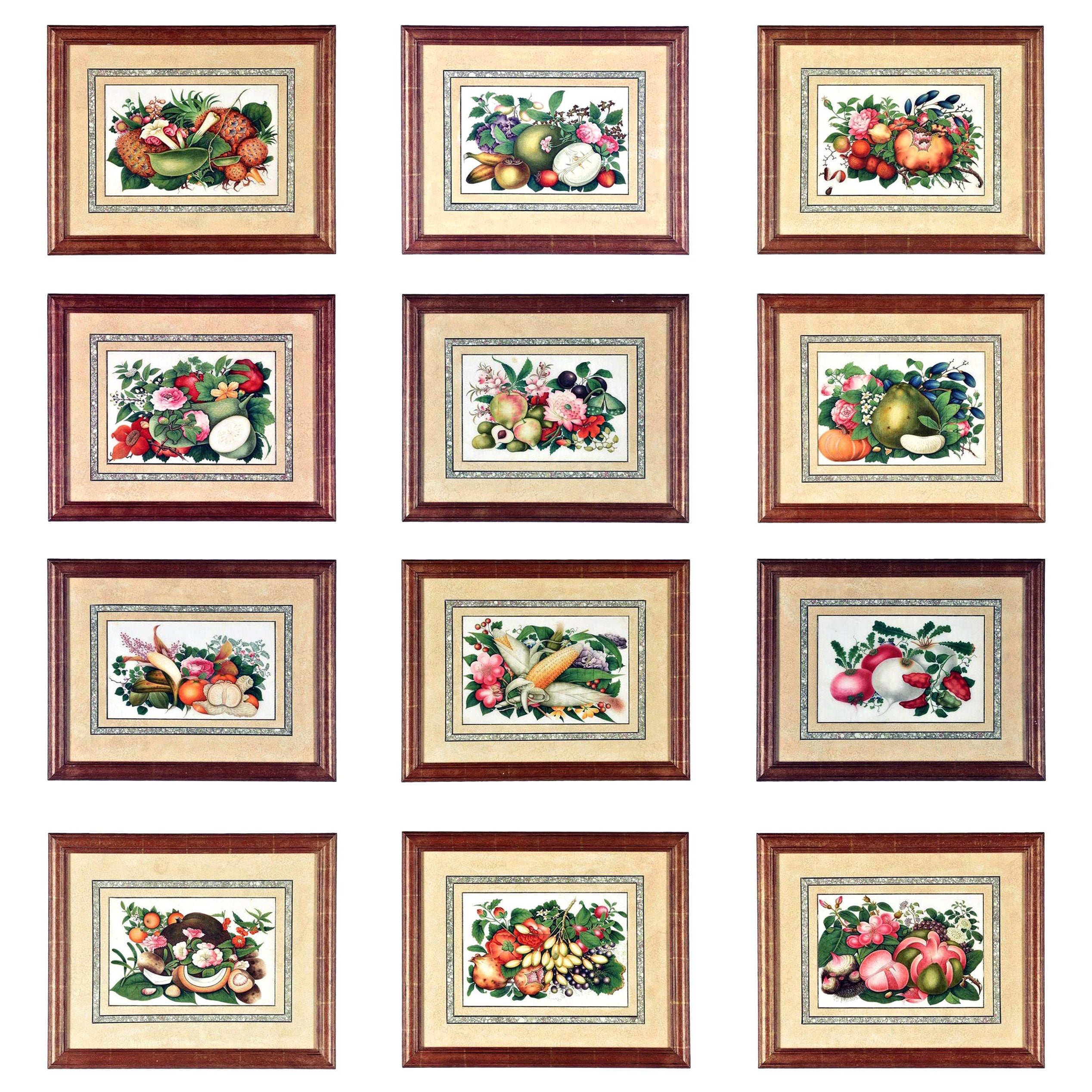 Juego de doce acuarelas y témperas China Trade de frutas y flores