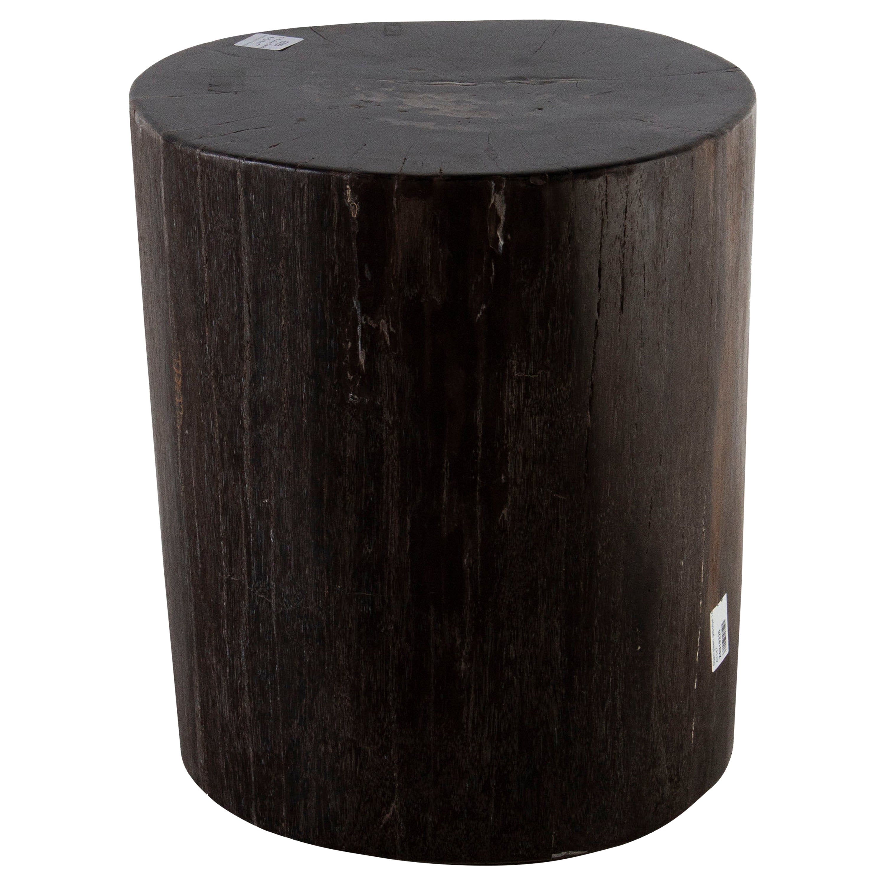 Petrified Wood n°C Side Table For Sale at 1stDibs