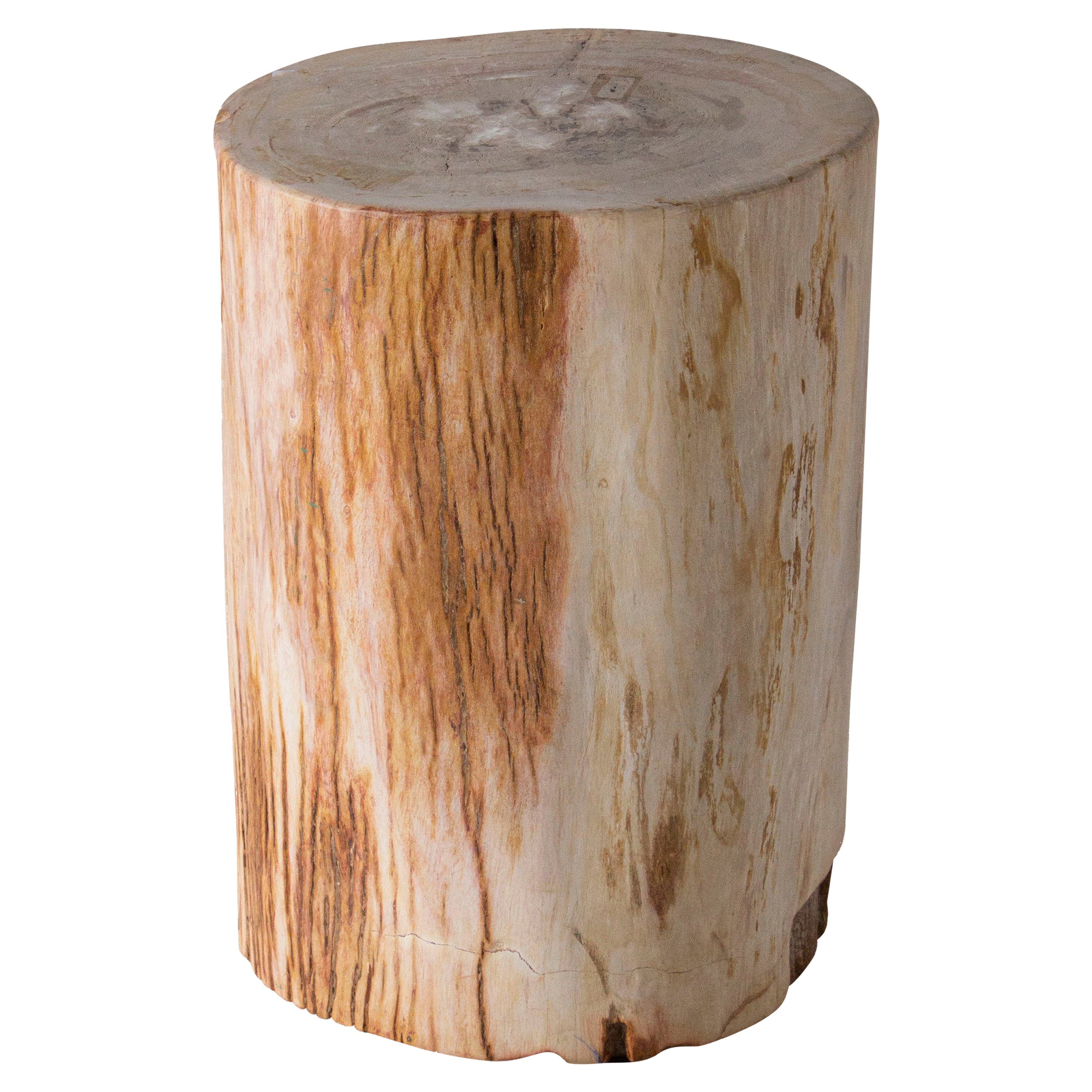 Petrified Wood n°C Side Table For Sale at 1stDibs