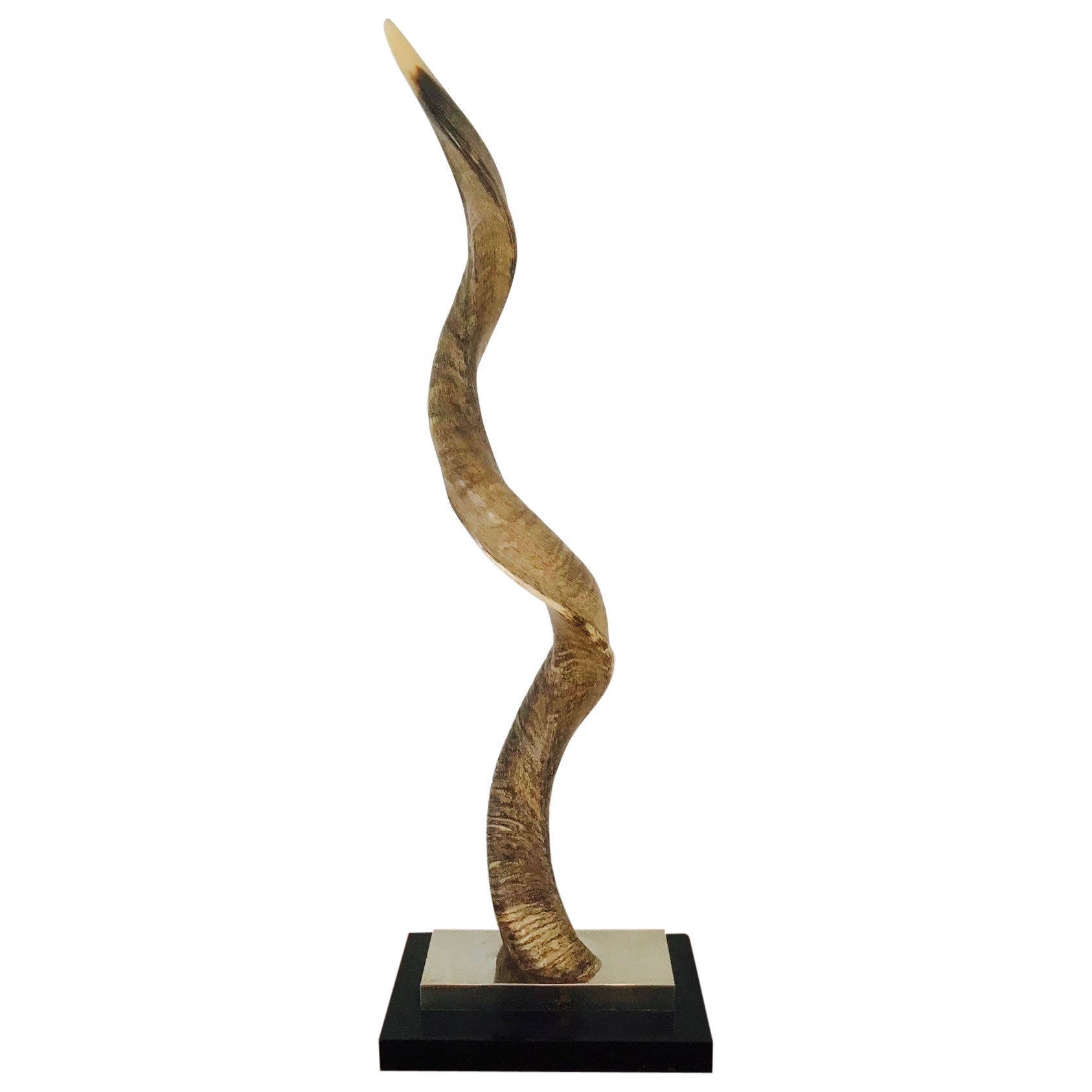 African Mbiu Horn Instrument For Sale at 1stDibs