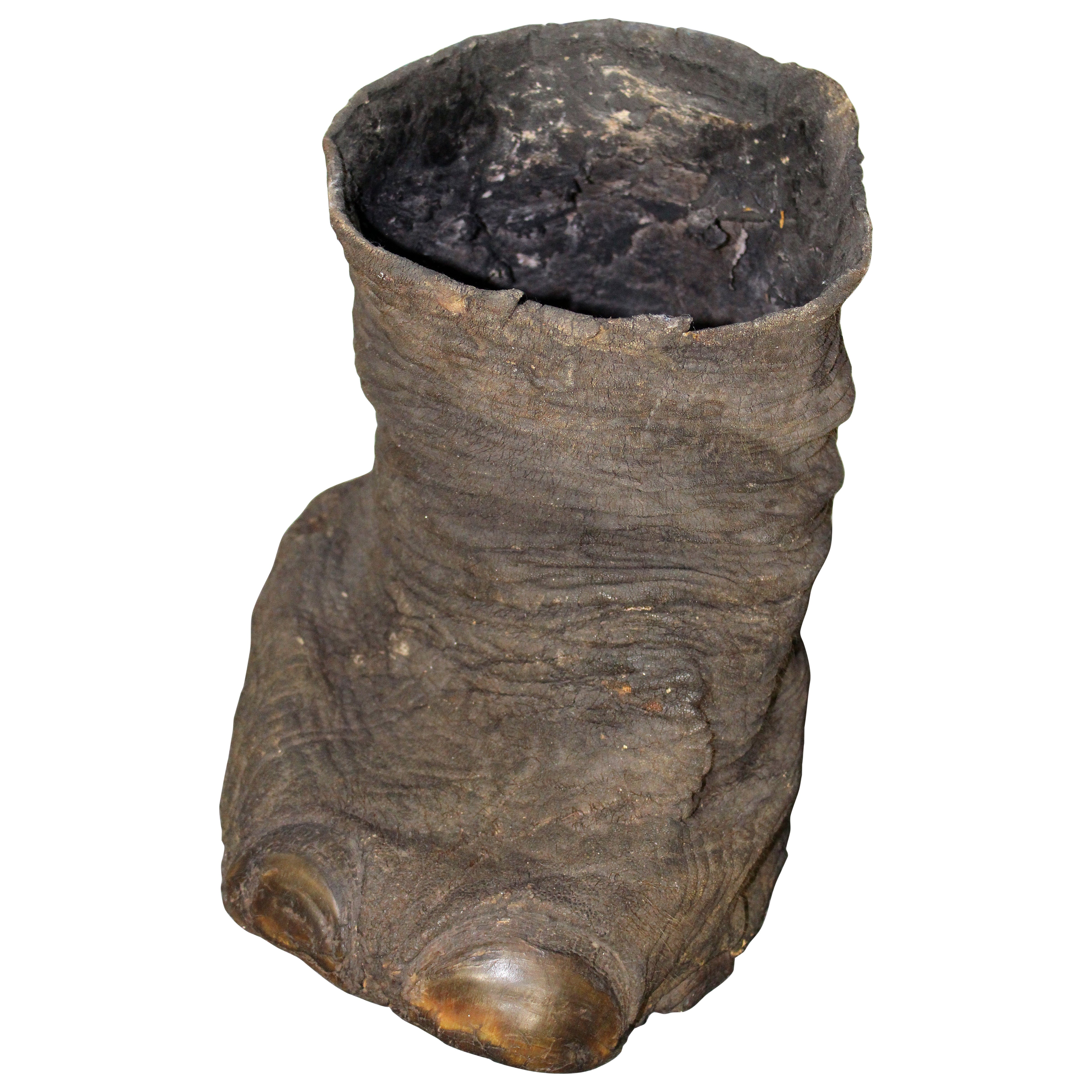 Ancien pied d'éléphant en vente