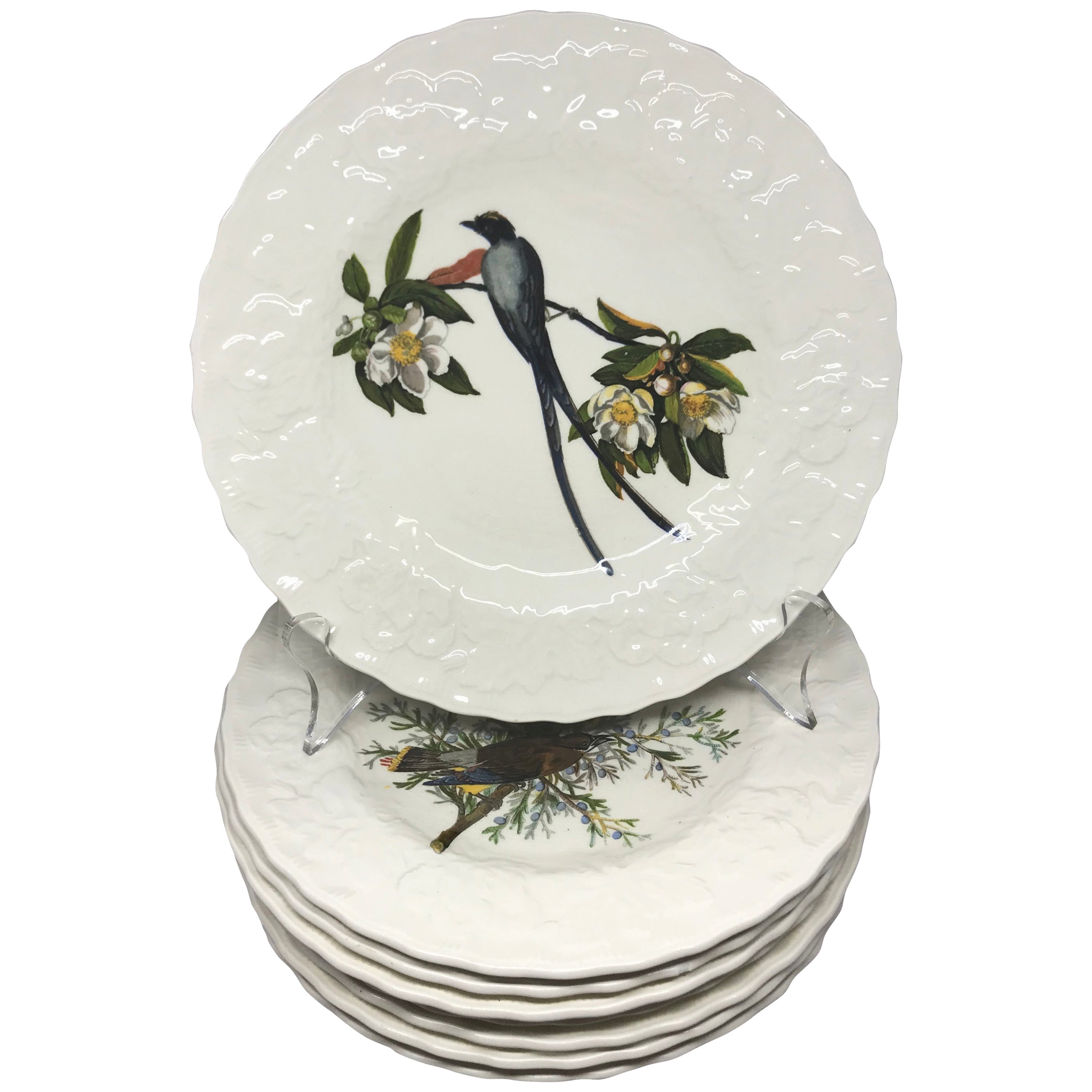 Set of Eight Audubon Bird Dinner Plates For Sale at 1stDibs