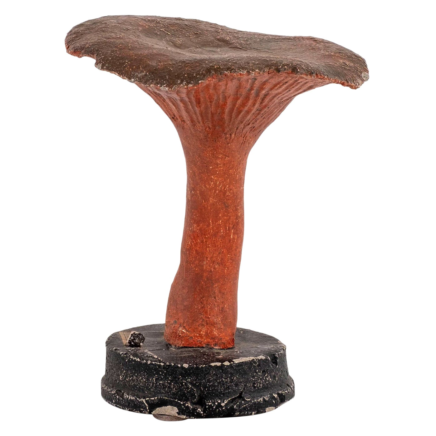 Vintage Instructional Mushroom Model