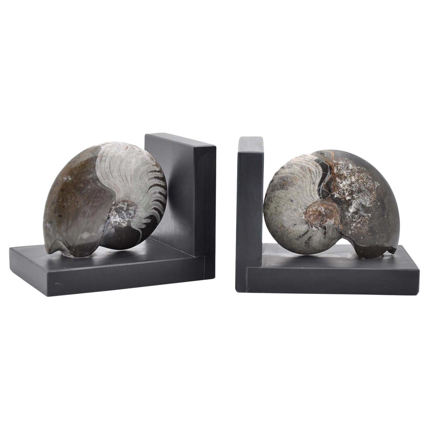 Fossilien-Buchstützen-Skulptur #4 von Nino Basso im Angebot
