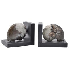 Fossilien-Buchstützen-Skulptur #4 von Nino Basso