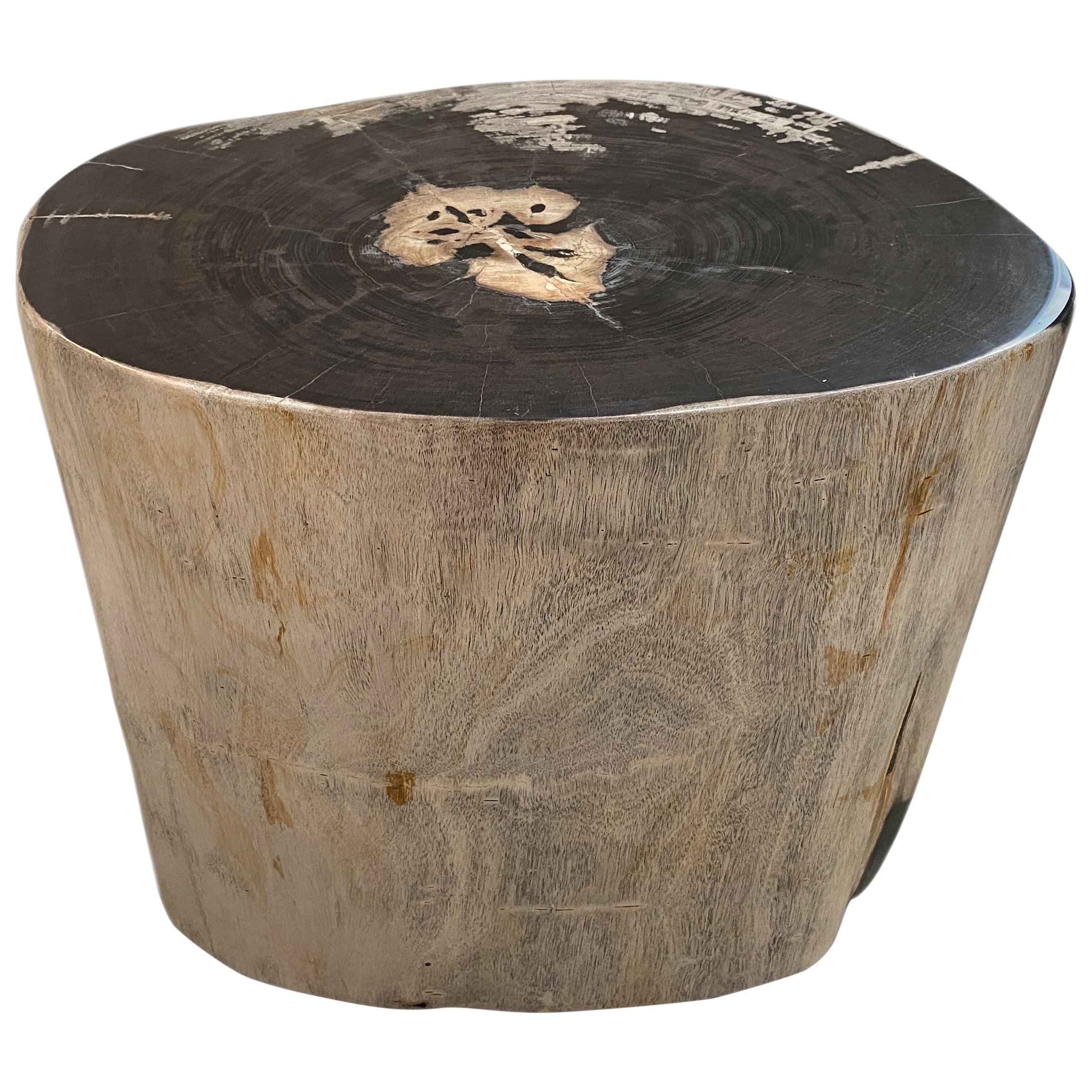 Impressively Large Petrified Wood Table Base For Sale at 1stDibs