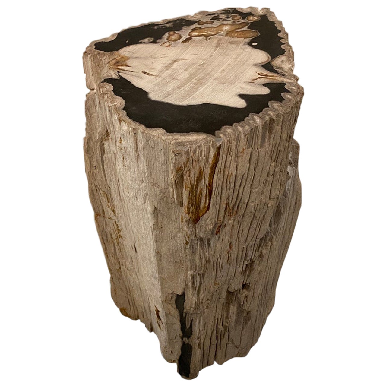 Andrianna Shamaris Impressive Grey and Black Petrified Wood Side Table