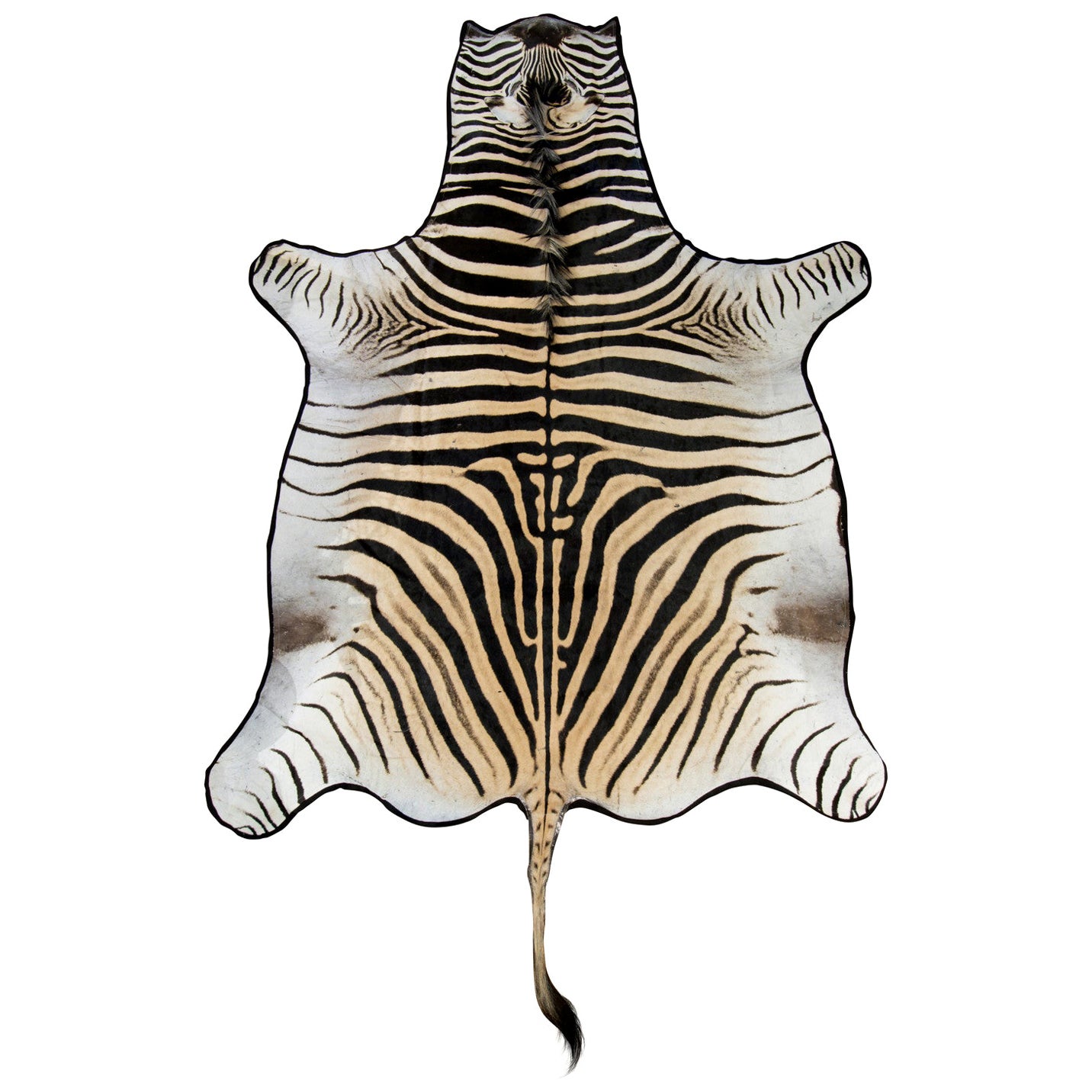 Vintage Zebra Skin Rug at 1stDibs