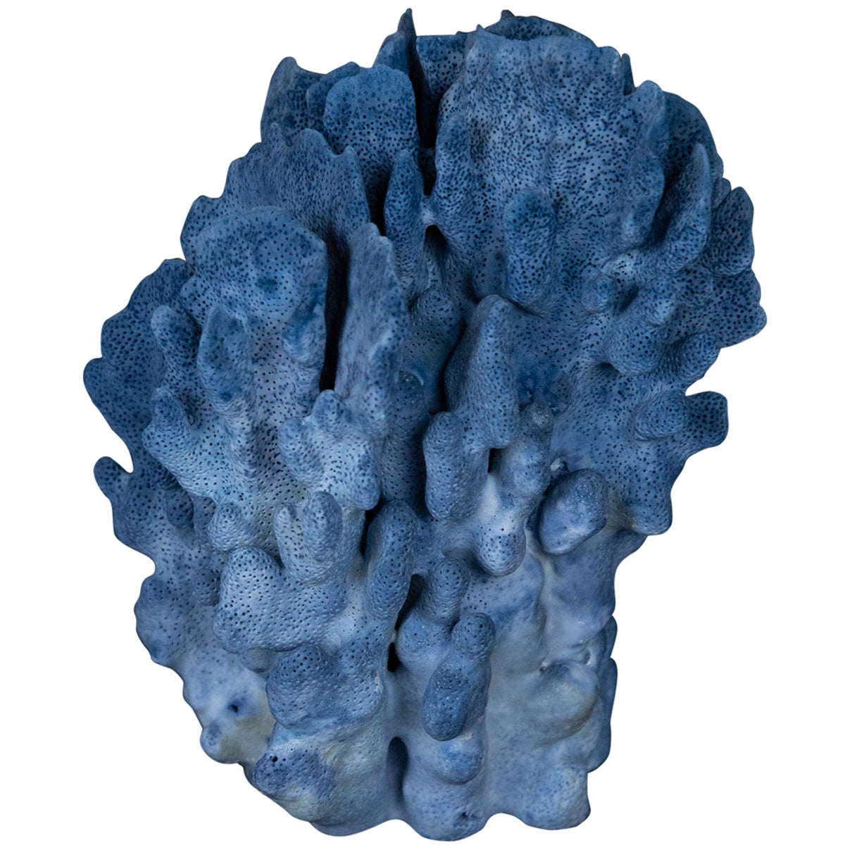 Large Blue Coral For Sale at 1stDibs