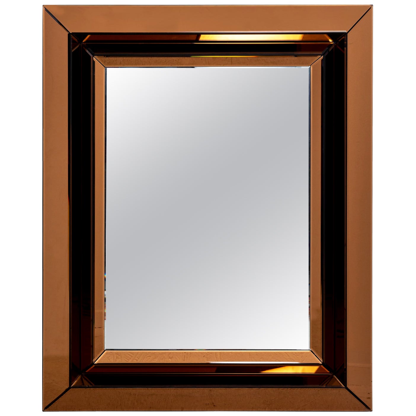 Jeffrey Sass Custom Bronze Framed Mirror at 1stDibs