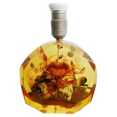 Vintage Talbe Lamp Natural Specimens Shellfish Shells Resin, Original Midcentury