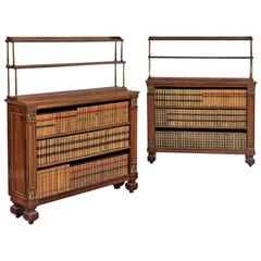 Pair of Regency Rosewood Dwarf Bookcases with Gilt Ormolu and Brass Mounts