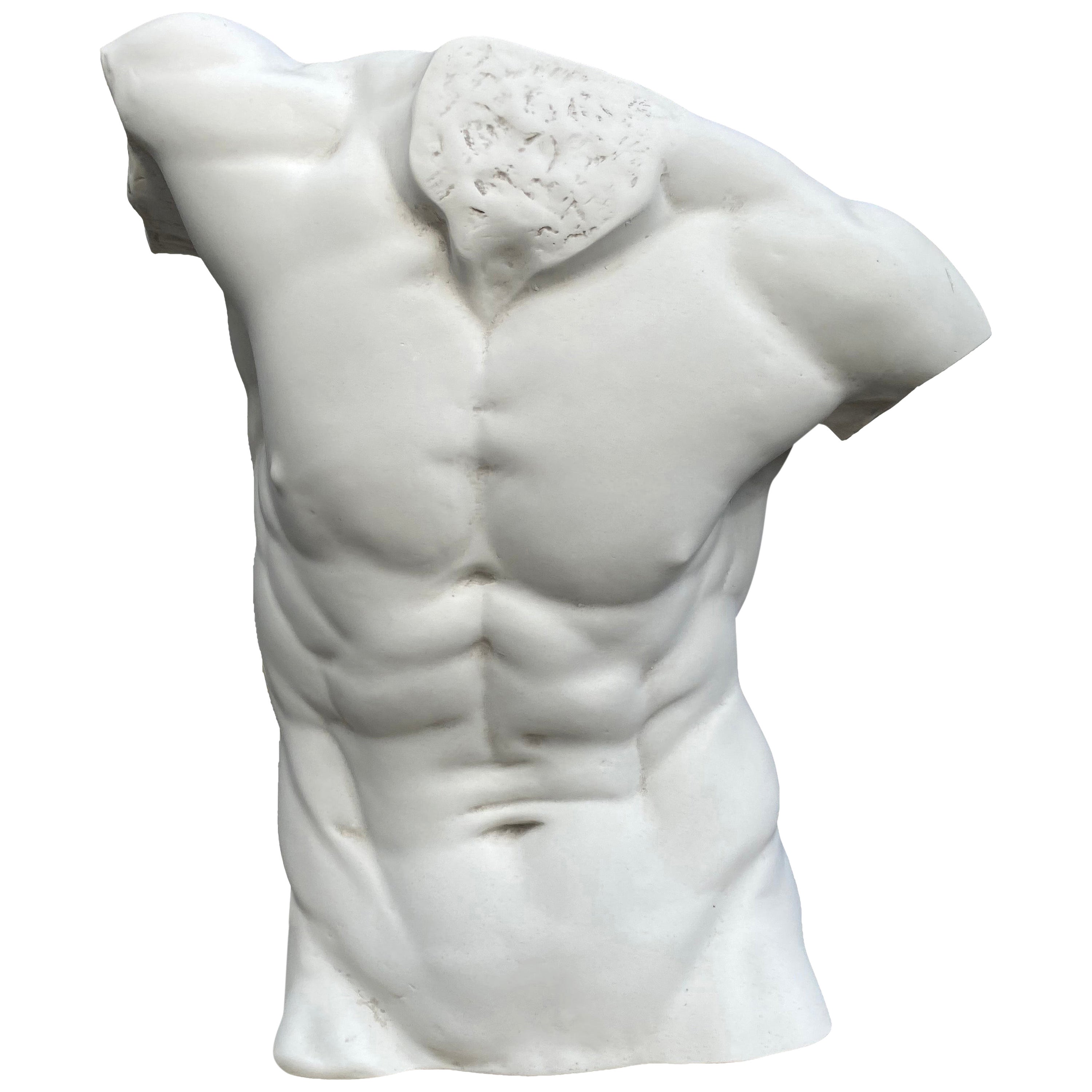 Large Sculpted Male Torso Marble Statue For Sale at 1stDibs