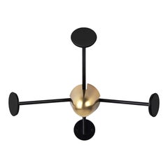Mathieu Matégot Coat Rack in Brass and Black for GUBI
