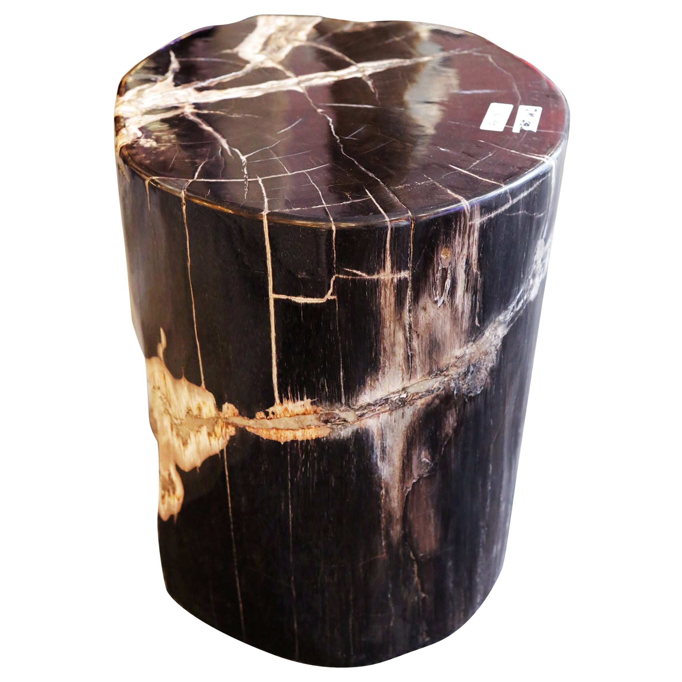 Highly Polished Ancient Petrified Wood Side Table at 1stDibs