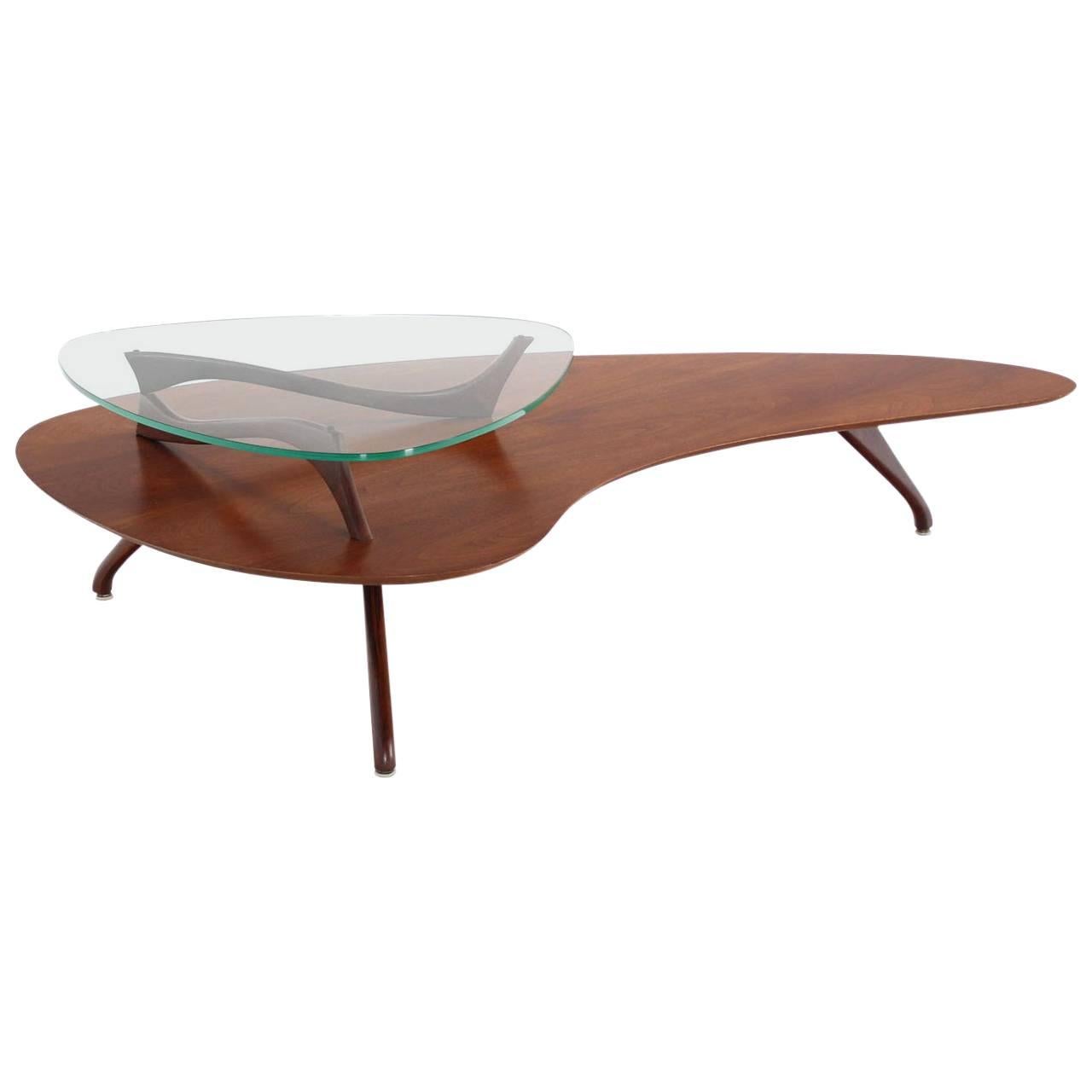 Organic Shape Walnut and Glass Coffee Table