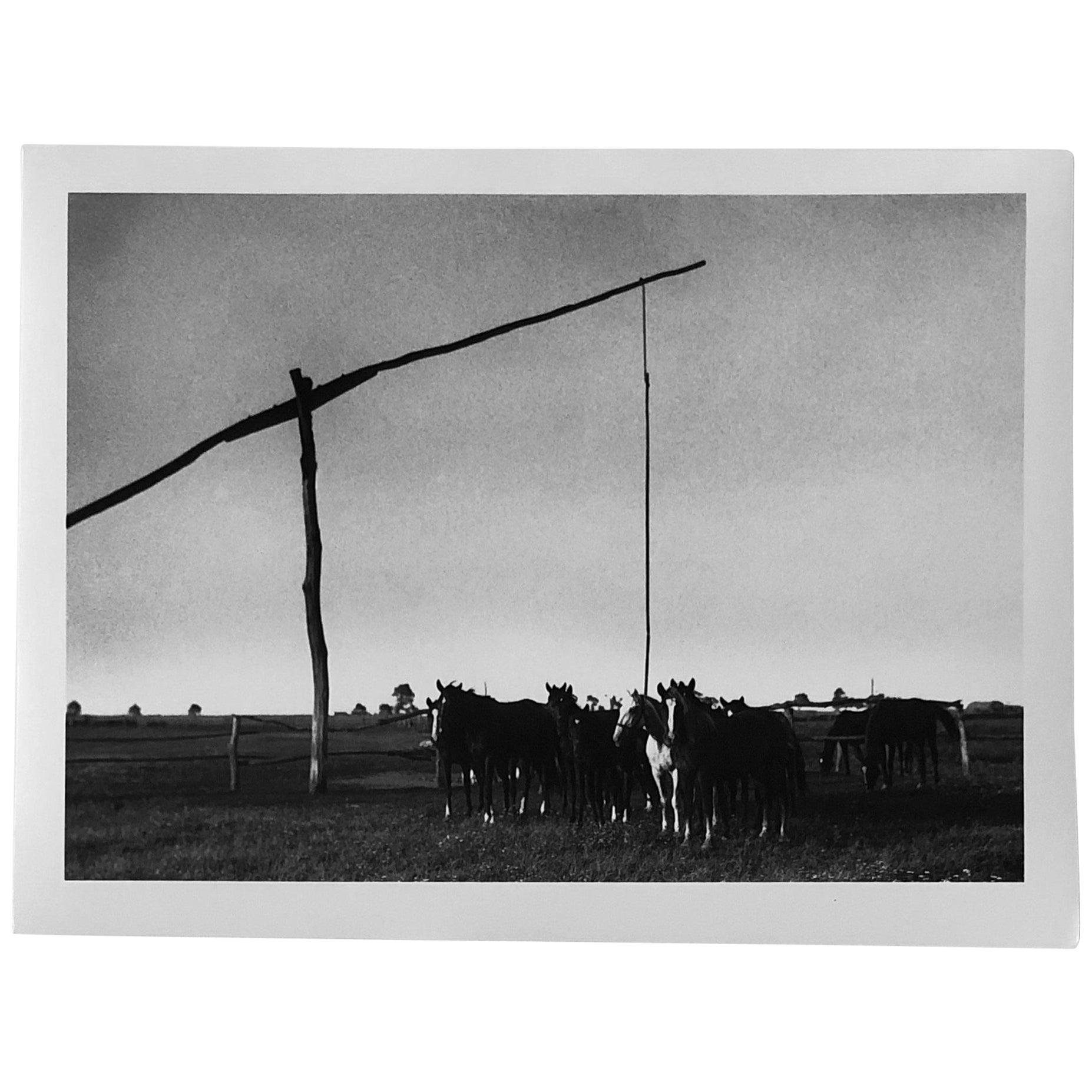 silver gelatin print and prints difference silver gelatin print and prints difference