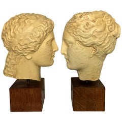 Two Life-Size Classical Plaster Heads