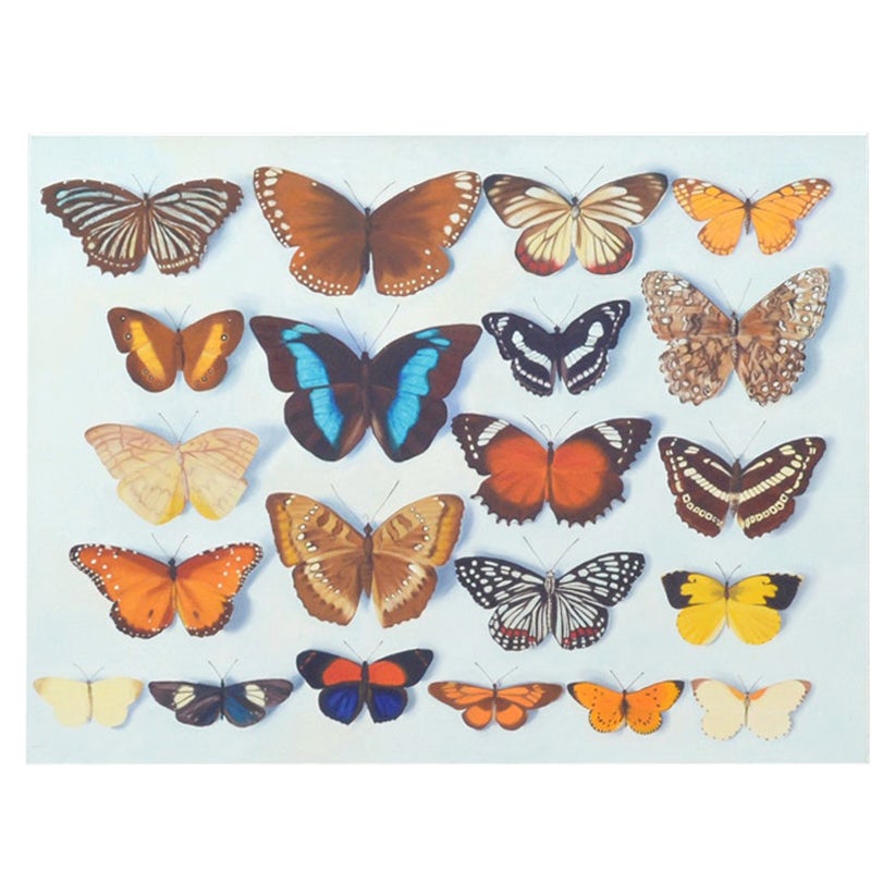 Still Live Painting of Butterflies by Bridget Orlando For Sale