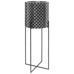 Nexum Optical 80 Black Plant Stand