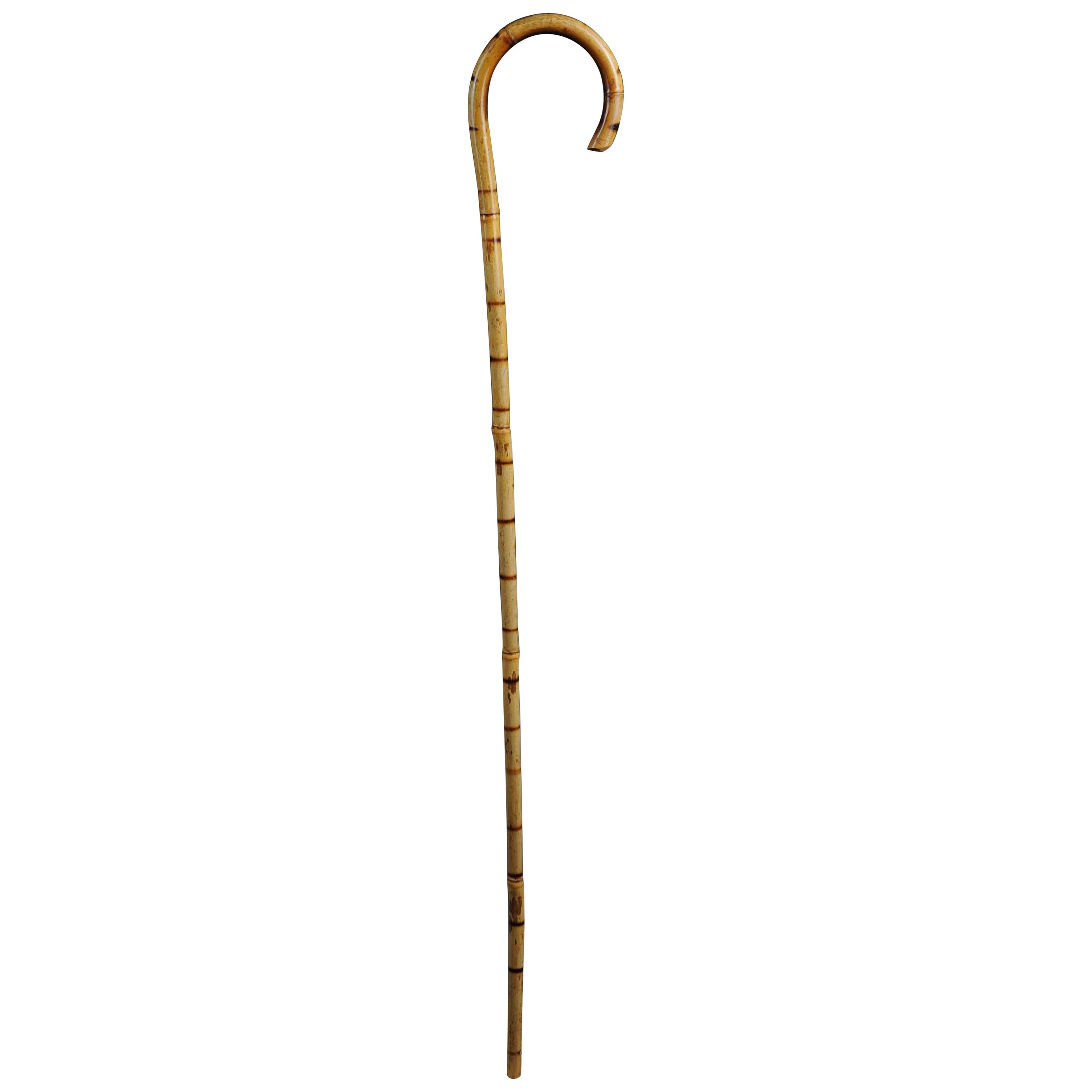 Antique Walking Stick / Cane, Germany with Around 1910