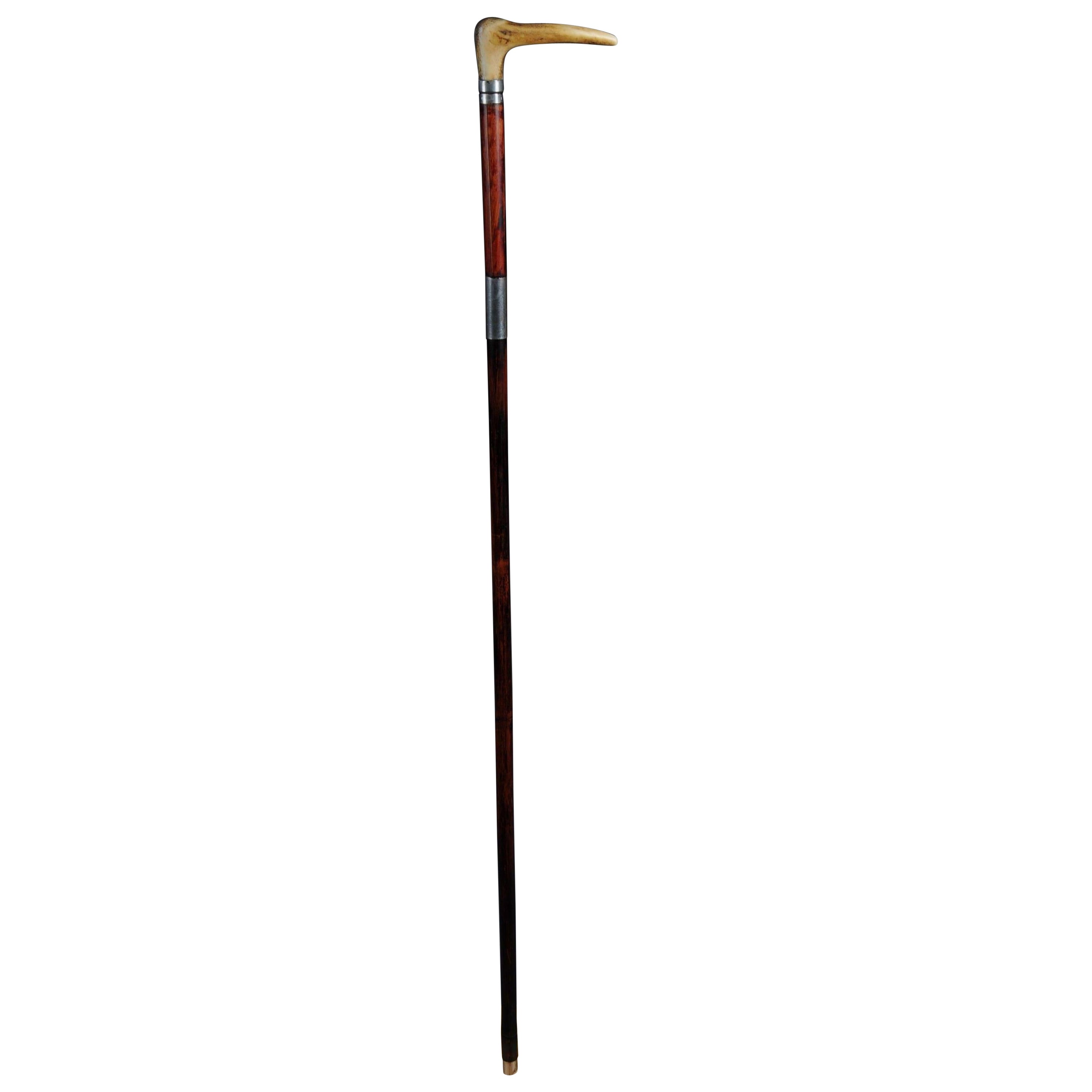 Antique Walking Stick/Cane, Germany with Around 1910 For Sale