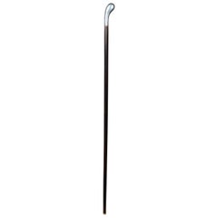 Antique Walking Stick, Germany, Ebonized with a Silver Handle, Around 1910