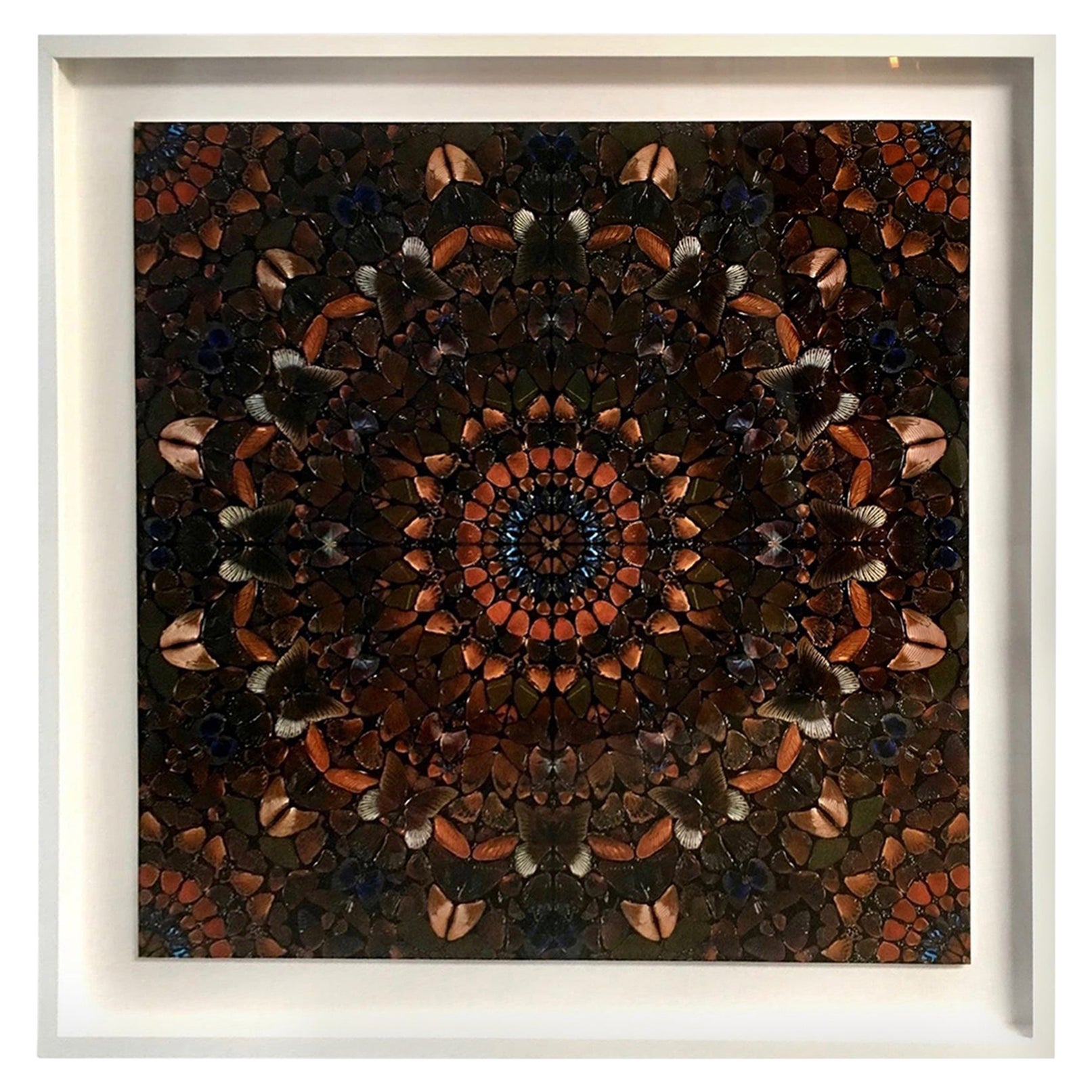 Damien Hirst Butterfly Kaleidoscope Wallpaper "Unframed ...
