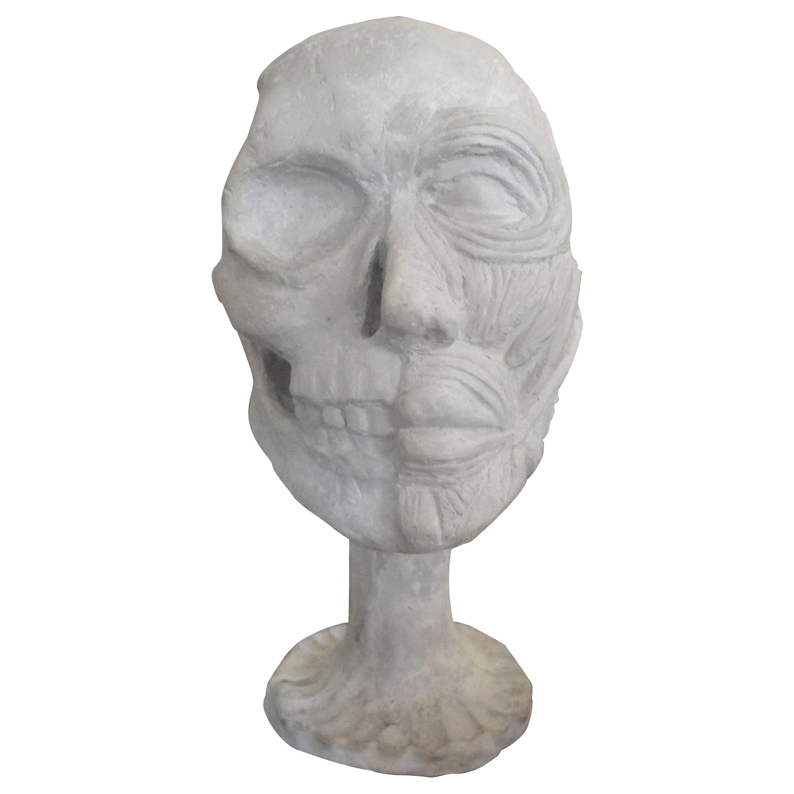 Modèle de crâne anatomique en plâtre vintage en vente
