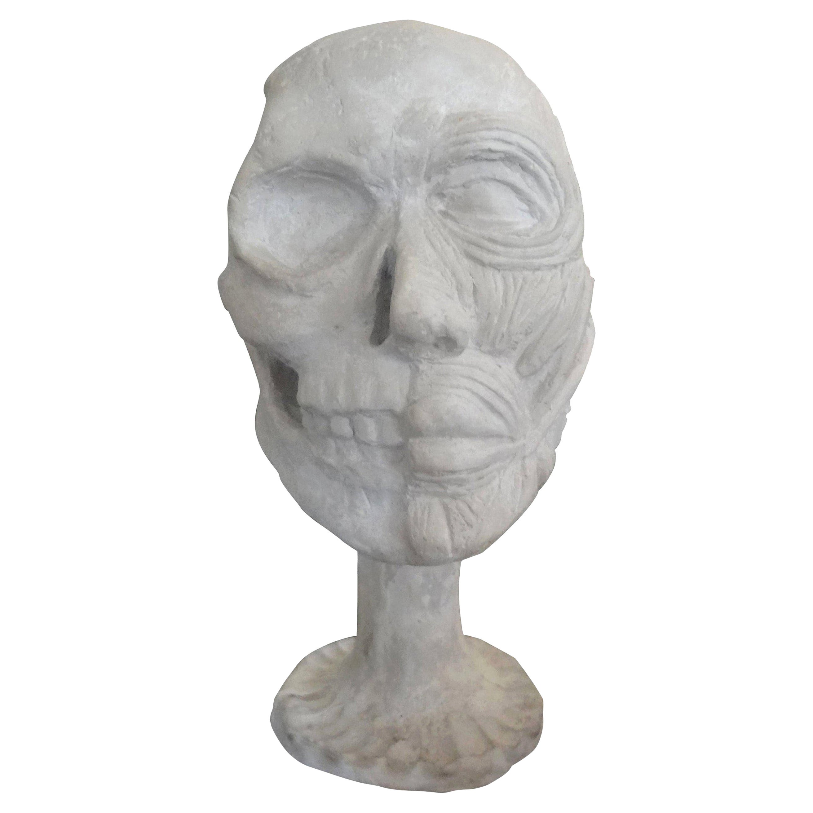 Vintage Plaster Anatomical Skull Model