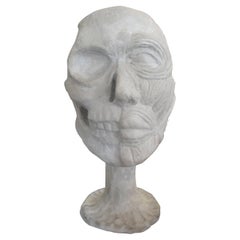 Vintage Plaster Anatomical Skull Model