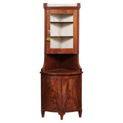 19th Century Continental Neoclassical Style Corner Cabinet in Mahogany