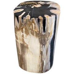Andrianna Shamaris High Quality Petrified Wood Side Table