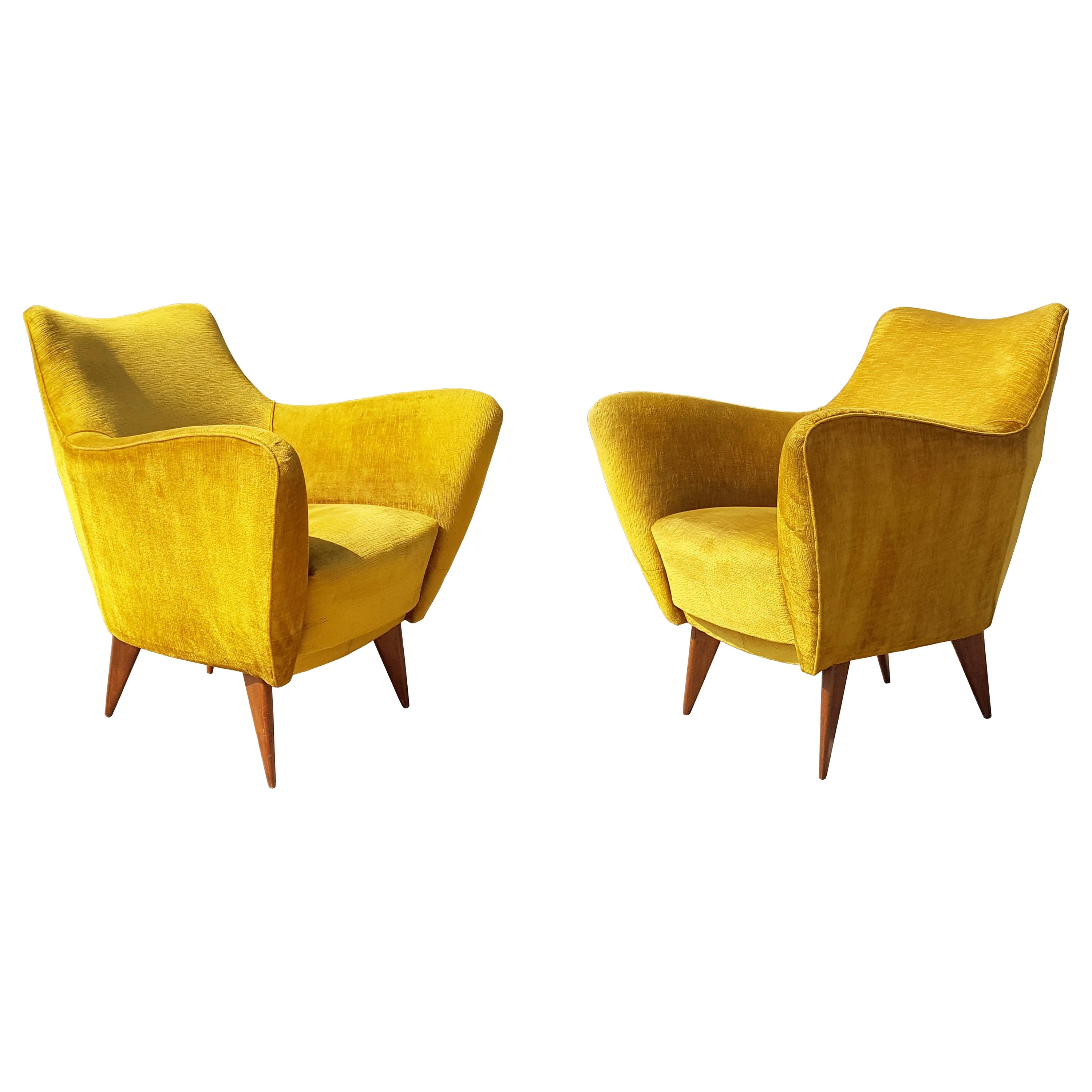 Pair of Ocra Yellow Velvet and Wood 1950s Perla Armchair by G. Veronesi for ISA For Sale