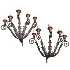 Antique 19th Century Pair of Large Italian Tuscan Foliate Iron Five-Light Sconces