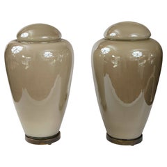 Pair of Modernist Illuminating Glass Covered Vases