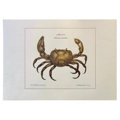 Contemporary Italian "Marina" Print with Press Engraving on Pure Gold Leaf